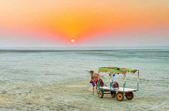 Gujarat kutch tour package